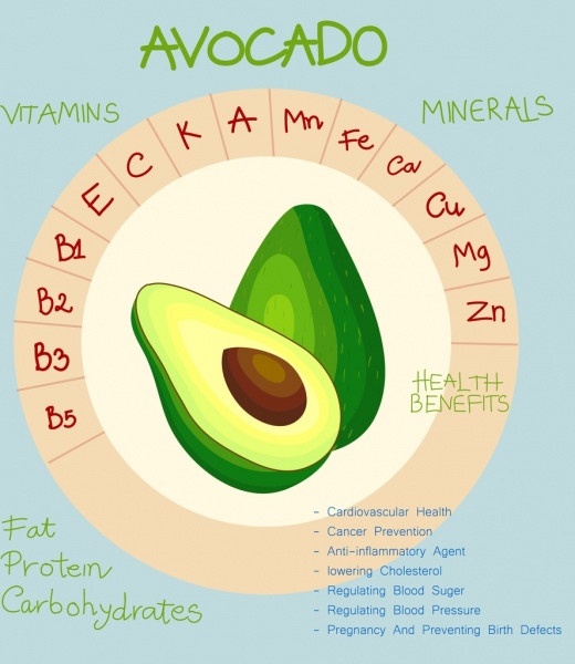 питание инфографики авокадо значок круг дизайн