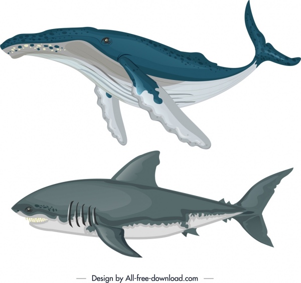 oceano elementos tubarão-baleia ícones coloridos esboço do projeto