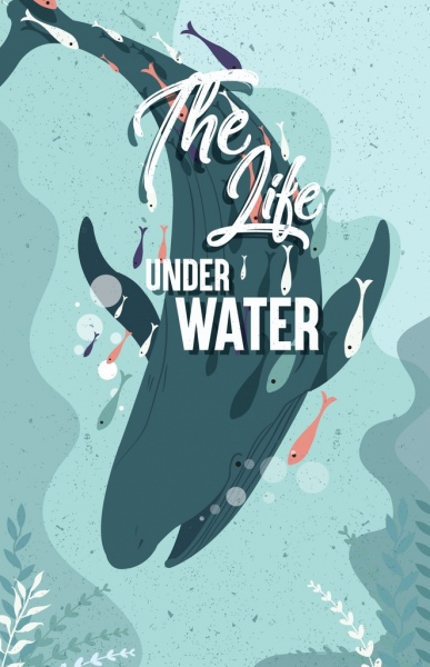 океан жизни баннер Кит рыбы классический дизайн иконок