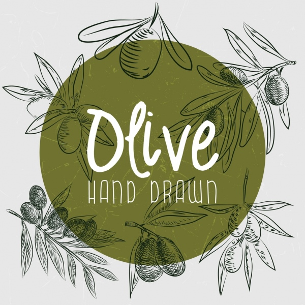 Оливковое рекламы handdrawn фрукты украшения