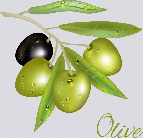 オリーブのアイコン光沢のある緑黒のデザイン