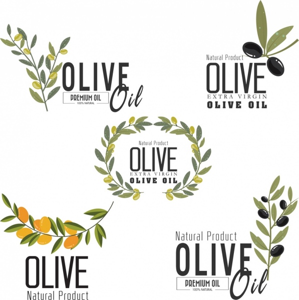 Aceite de oliva frutas decoracion de iconos diferentes logotipos de la hoja