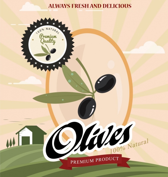 reklama produktów z oliwek owoców pieczęć ikon farmę w tle