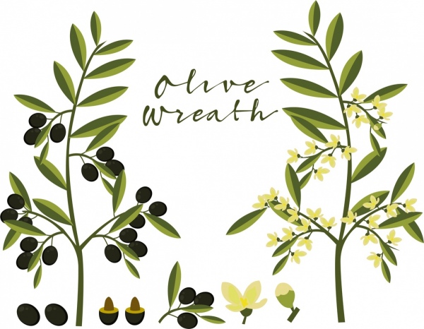 Olivenbaum Symbole grünes design