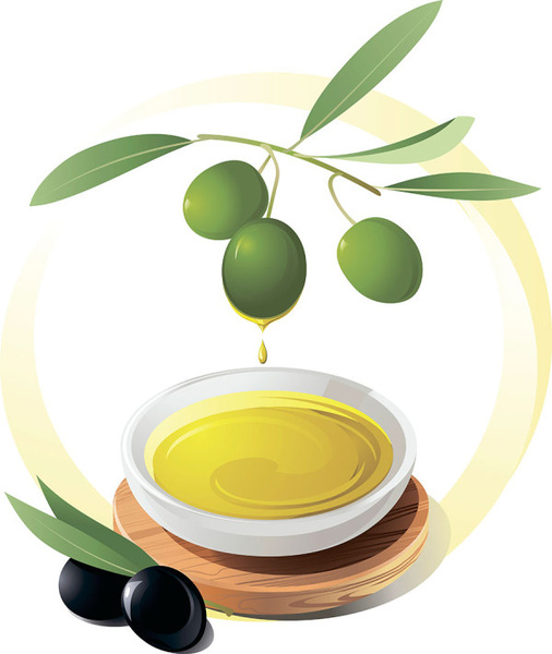 aceitunas y aceite de oliva vector 2