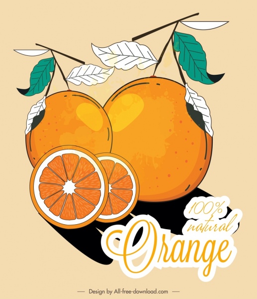 오렌지 과일 광고 컬러 클래식 플랫 스케치