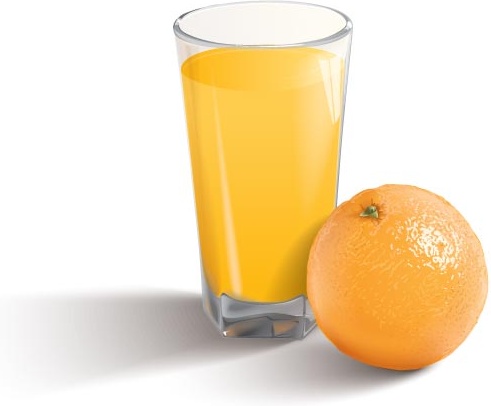 jugo de naranja y naranja vector
