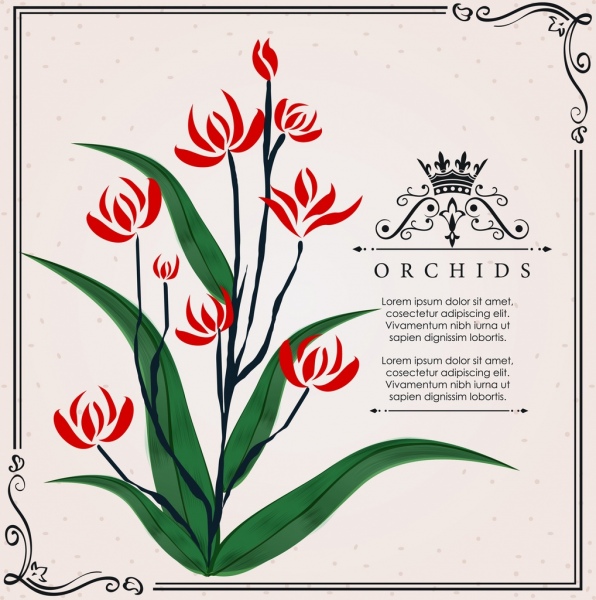 Antecedentes handdrawn clásico diseño de orquídeas