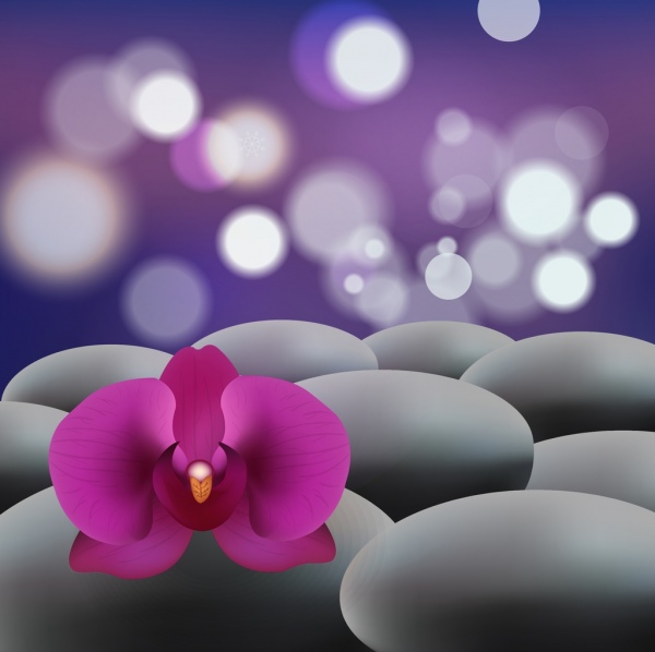 Orchid background Closeup bokeh decoracion