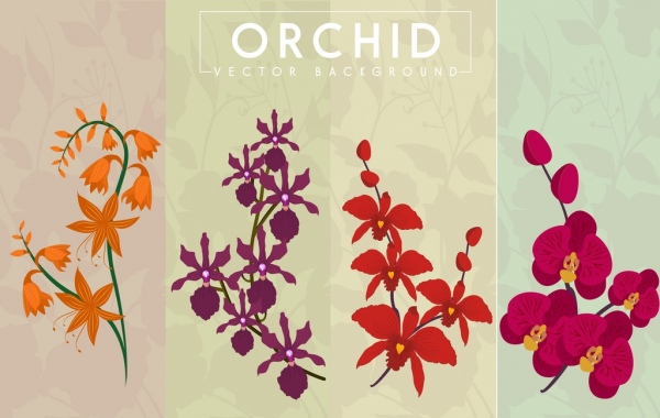 Orchidee Hintergrund Kollektion verschiedene Formen farbige Gestaltung