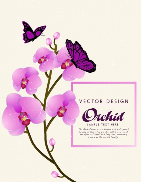 orchidea farfalla icone decorazione sullo sfondo viola