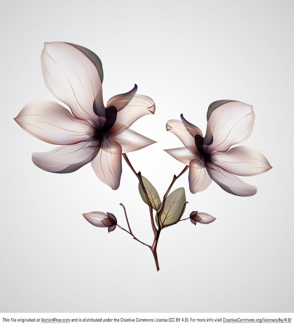 Orchid Flower Vector