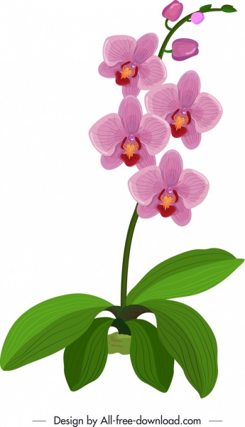 Orchidee-Symbol grün violett Skizze