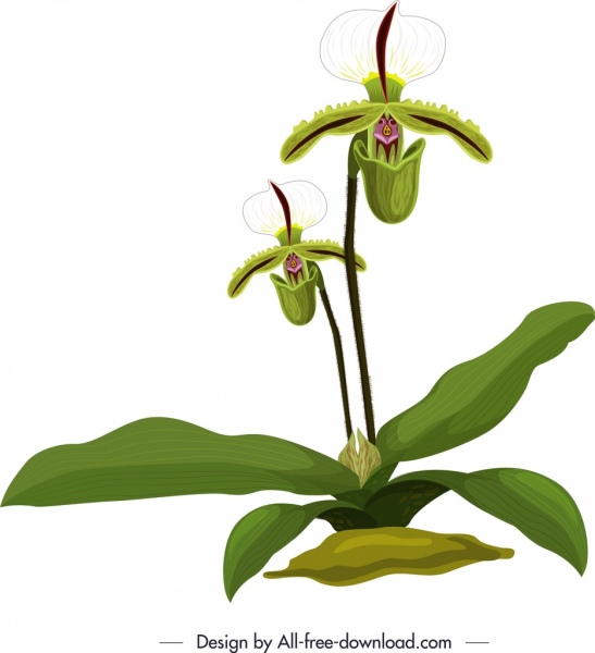 Роспись орхидей ярко-зеленым белым дизайном