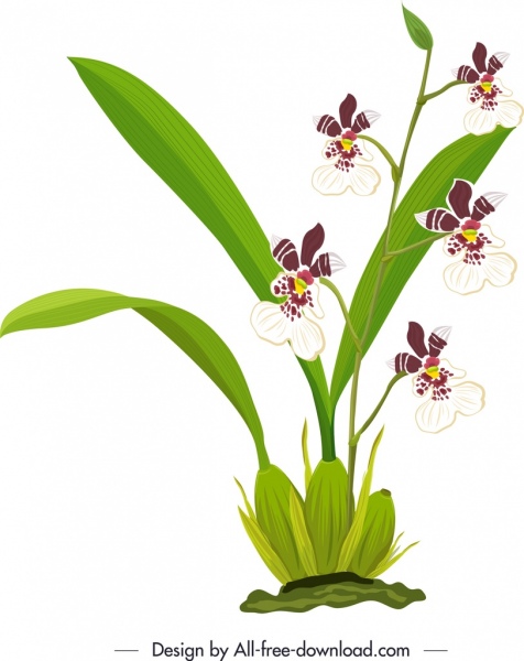 Orchideenmalerei farbiges klassisches Design