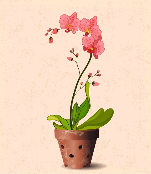 Orchideen Topf Zeichnung 3d Retro-design