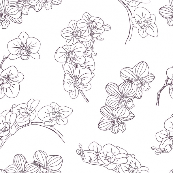 Orquídeas background negro blanco handdrawn sketch