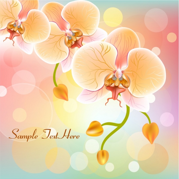 Fondo brillante decoracion multicolores orquídeas