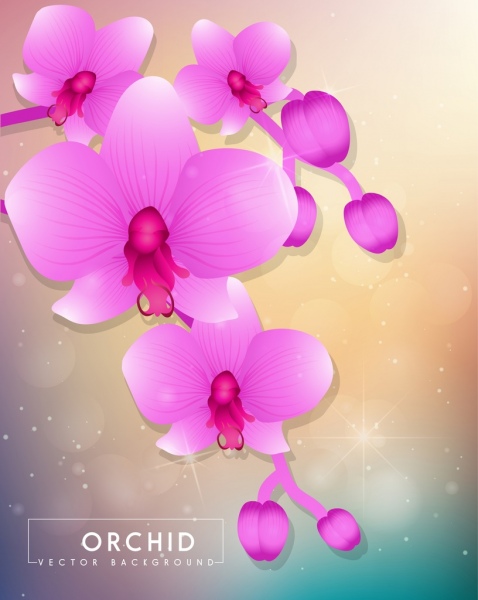 décoration de fond violet de mousseux orchidées