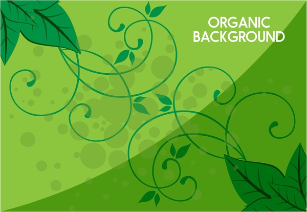 Organik arka plan yaprakları ve yeşil eğri dekorasyon