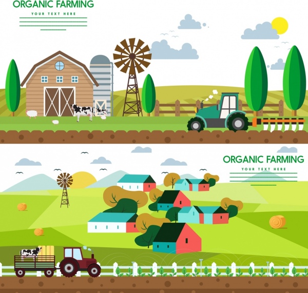 الزراعة العضوية من الإعلانات الملونة كارتون الديكور