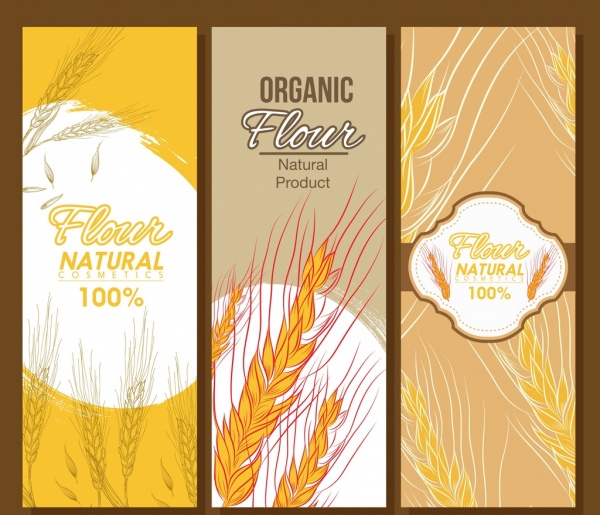 Bio-Mehl Banner Vorlagen Getreide Icons skizzieren