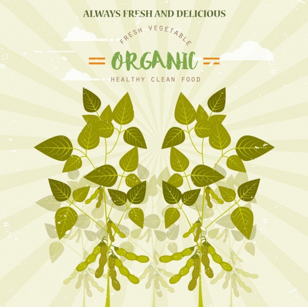 Publicidad icono verde de soja alimentos orgánicos