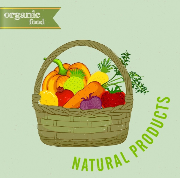 유기농 식품 광고 과일 바구니 아이콘 색된 디자인