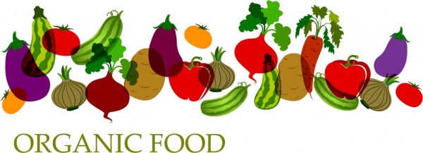有机食品背景彩色蔬菜图标装饰
