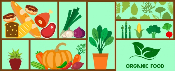 elementos de design de alimentos orgânicos com vários estilos de tipos