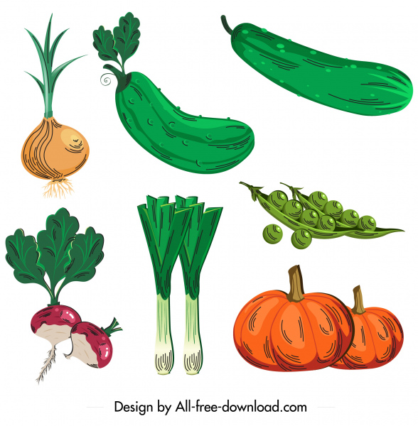 ícones de alimentos orgânicos coloridos esboço clássico