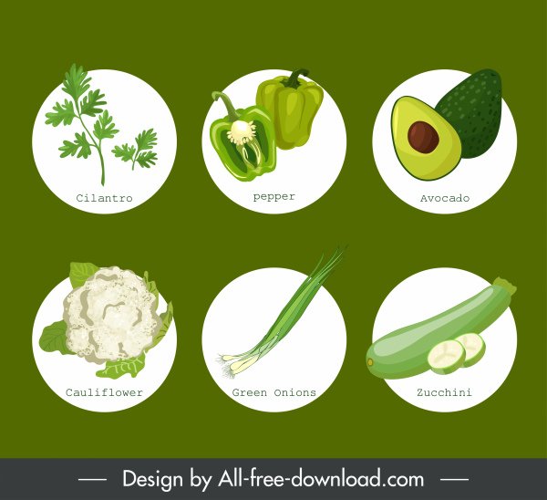 ícones de alimentos orgânicos verde vegetais esboço frutas