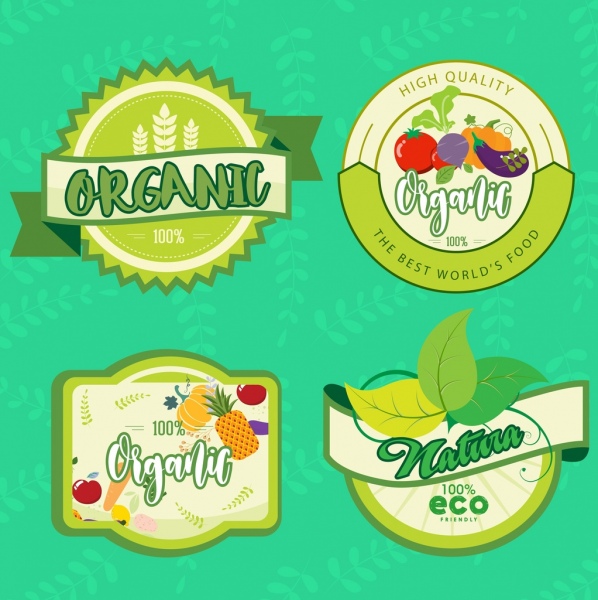żywności ekologicznej etykiety zbieranie owoców, liści ikon decor.