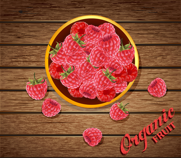 Bio-Obst Vektor-Illustration mit roten Beeren