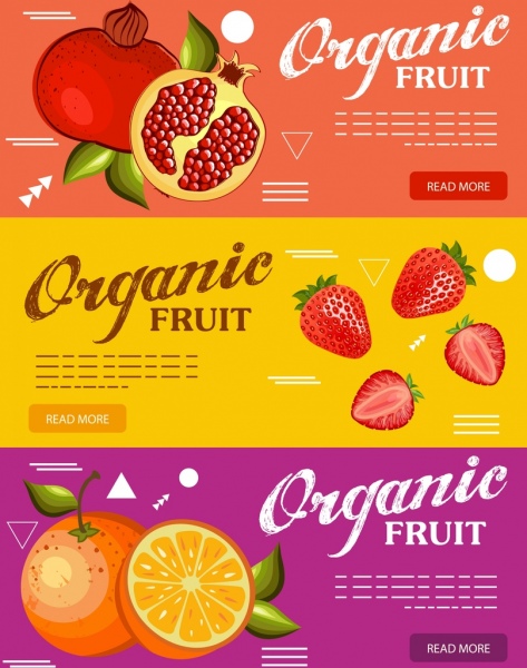 Bio-Obst orange Erdbeer Granatapfel Symbole Werbung