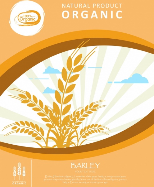 茶色の大麦デザイン曲線装飾を宣伝する有機製品