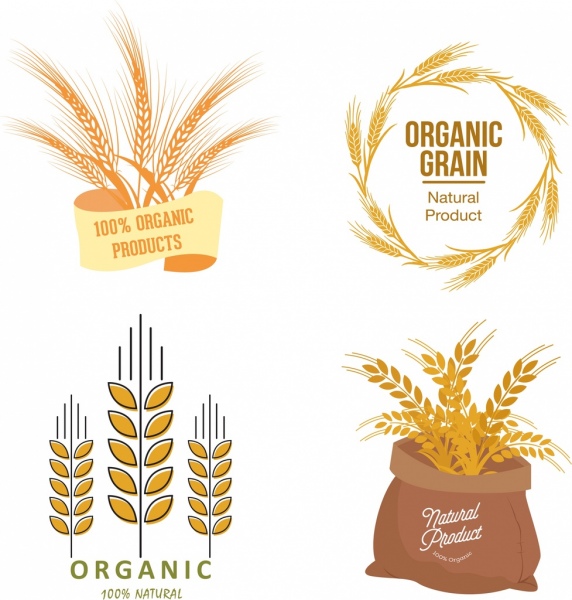 Producto organico logotipos cebada iconos diferentes formas de aislamiento