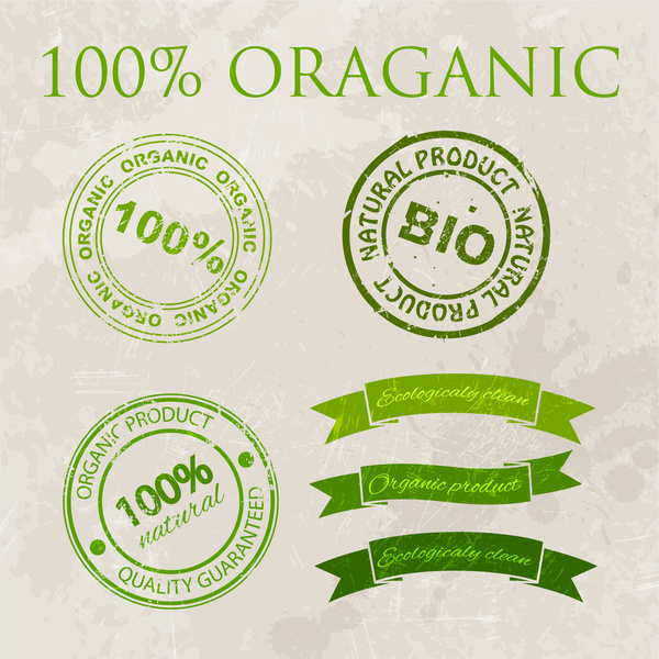 conception vectorielle de garantie de produits biologiques avec l’illustration verte