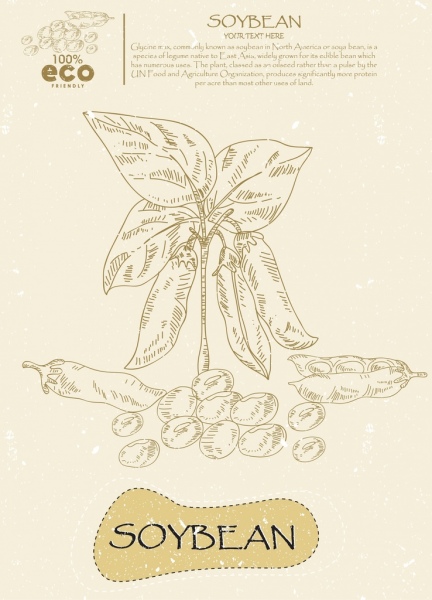 유기농 콩 handdrawn 아이콘 초안 광고