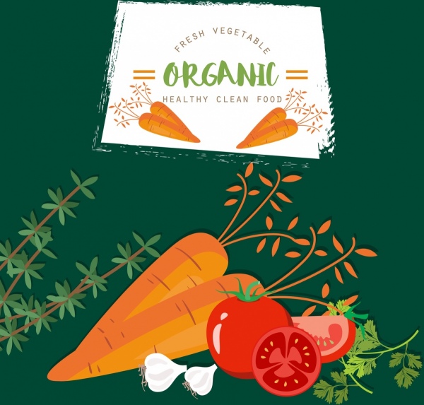 Publicité de légumes bio carotte tomate ail icônes