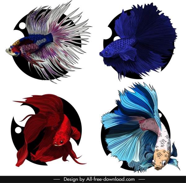 ikon ikan hias sketsa warna-warni berenang spesies
