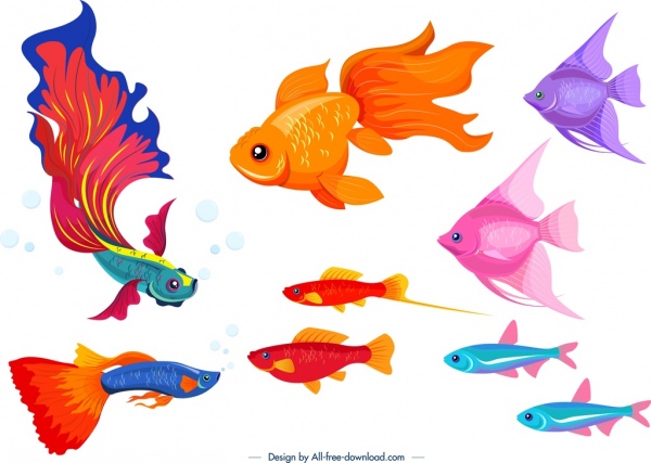 disegno dei pesci ornamentali icone colorate specie