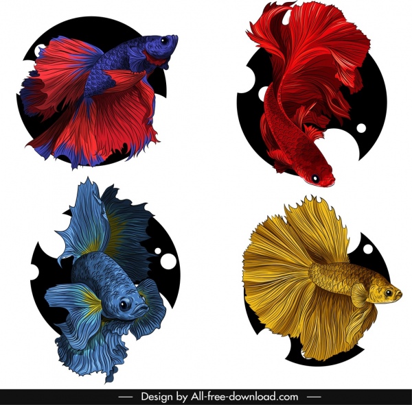 ícones de peixes ornamentais design heterogêneo elegante