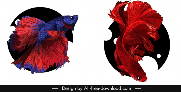 관상용 물고기 아이콘 화려한 3D 스케치