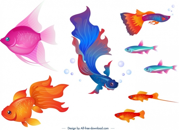 дизайн красочный мультфильм иконки декоративных рыб