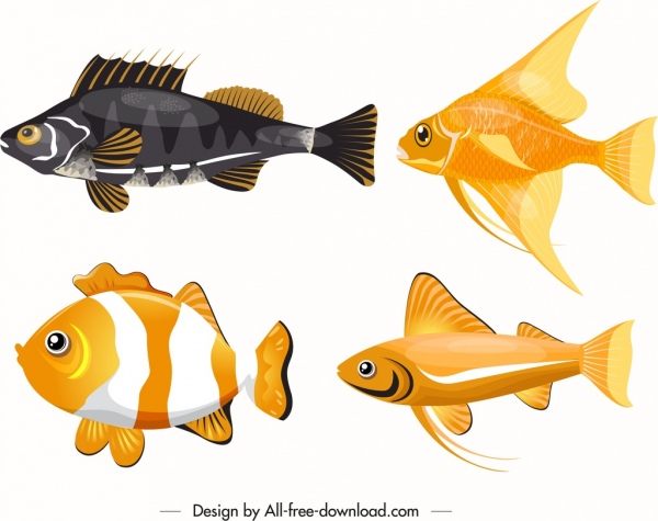 peixes ornamentais ícones design colorido moderno