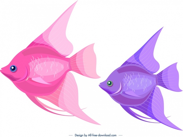 관 상용 물고기 아이콘 pinkviolet 디자인