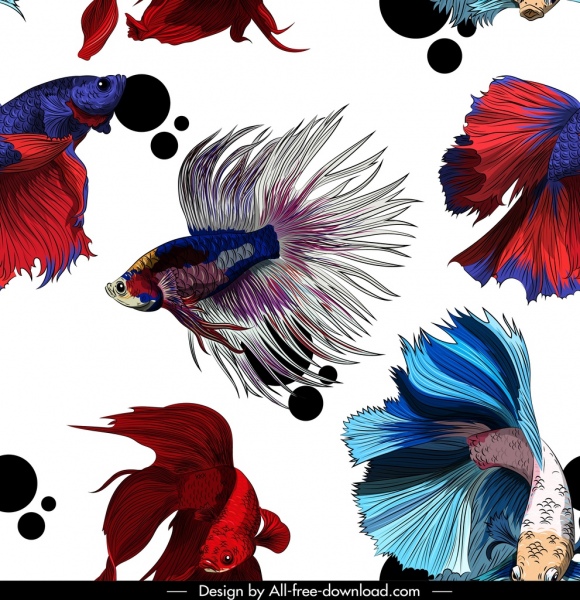 poissons ornementaux motif mouvement multicolore décor