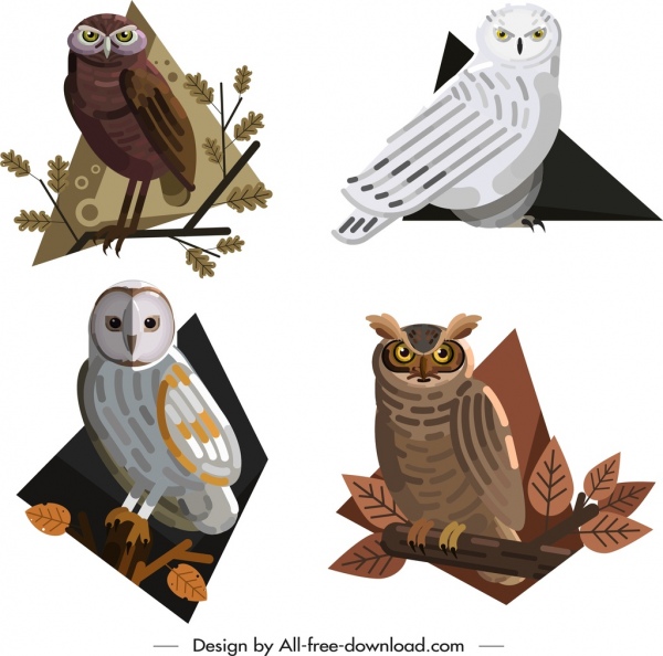 Owl động vật biểu tượng màu phim hoạt hình thiết kế