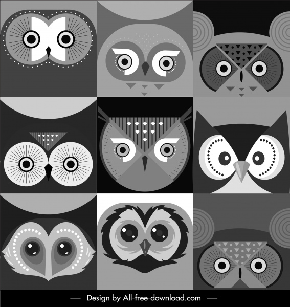 owl rosto modelos de fundo preto branco design plano